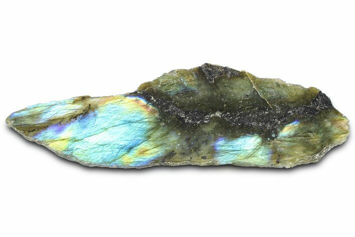 Single Side Polished Labradorite Section - Madagascar #364299
